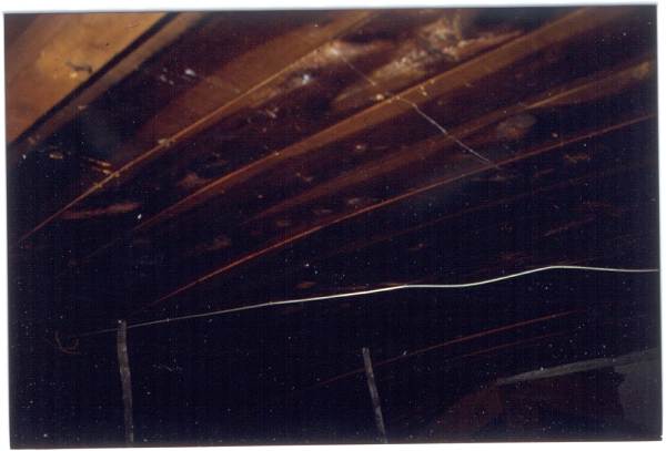 Cedar wood over the pulpit area. 10_23