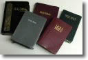 img_8242_bibles.jpg