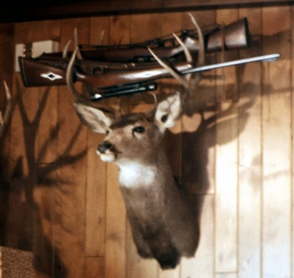 Big Jim Big Jim
