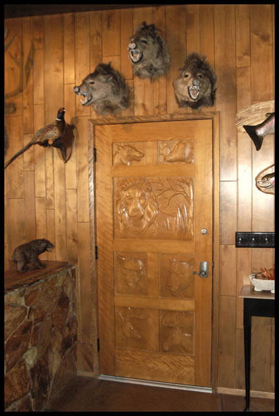 Door Door